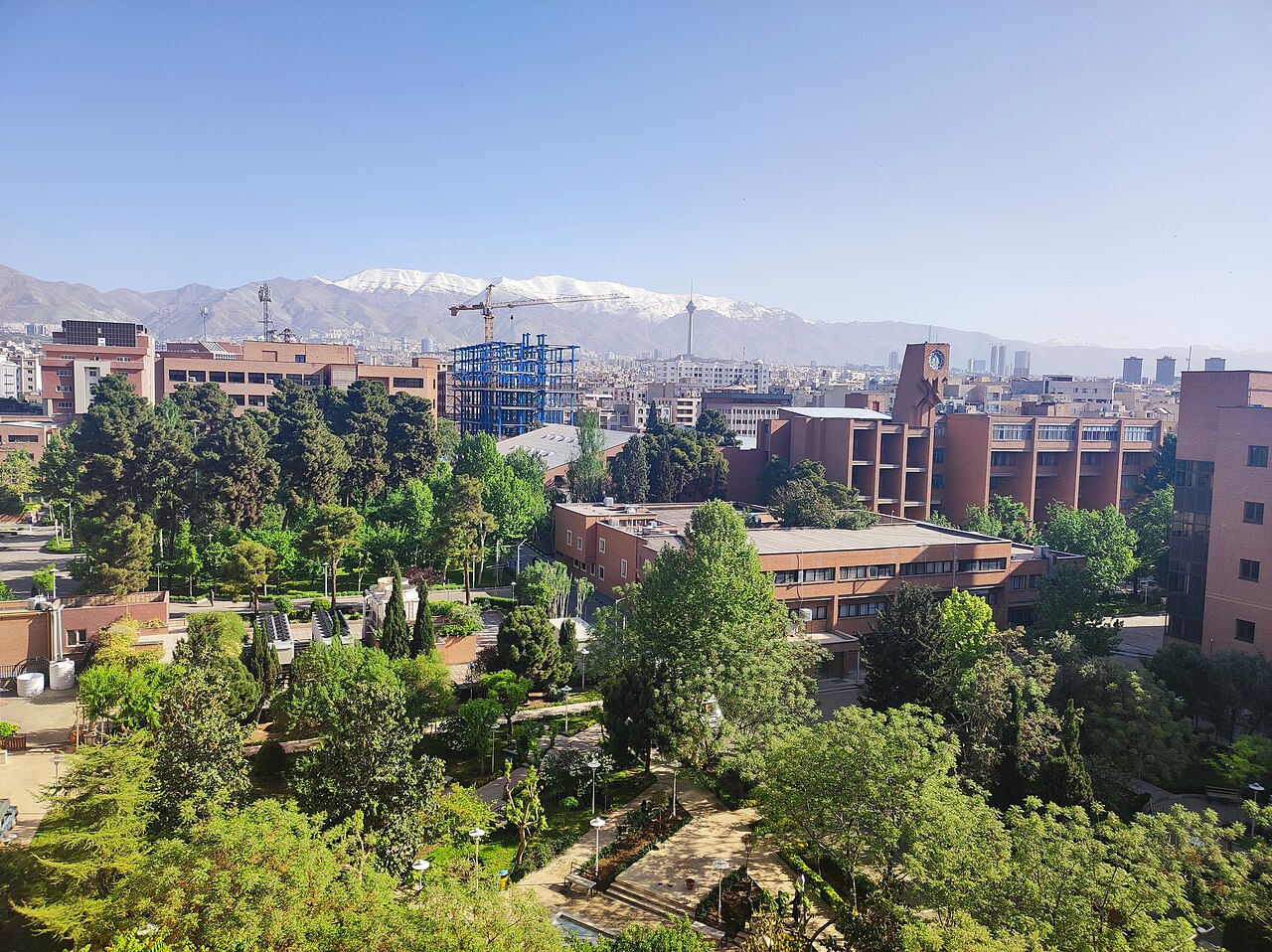 بهاری دیگر در شریف